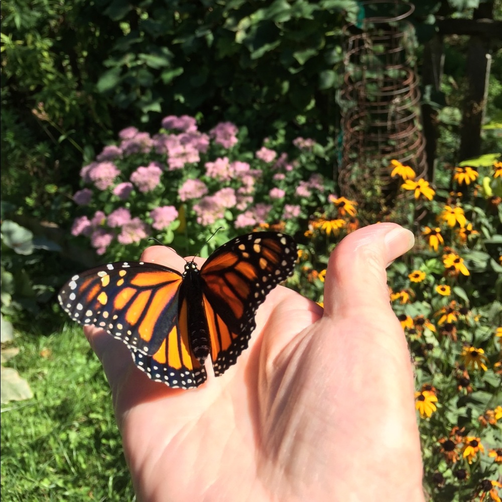 Meet your Posher, Nelle